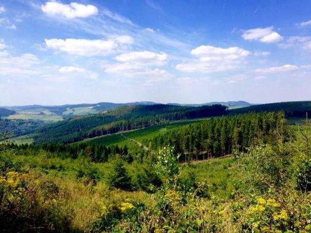 Ferienwohnung Little Home In Winterberg-Neuastenberg ภายนอก รูปภาพ