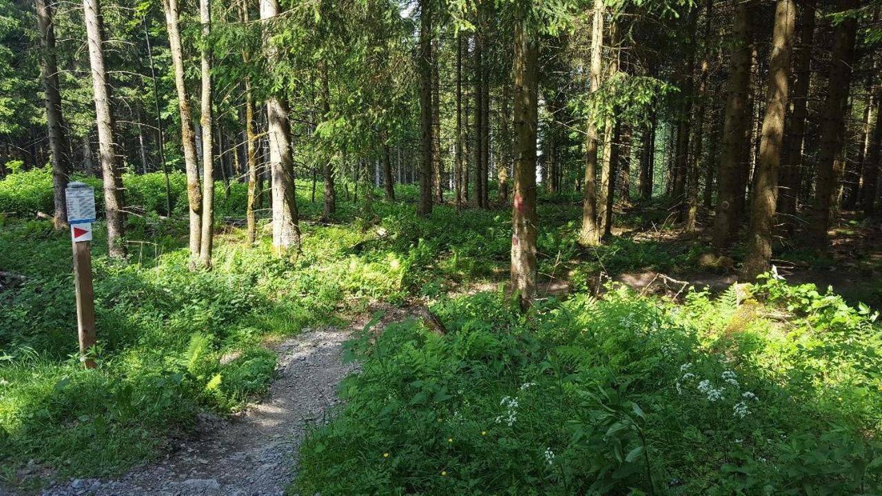 Ferienwohnung Little Home In Winterberg-Neuastenberg ภายนอก รูปภาพ